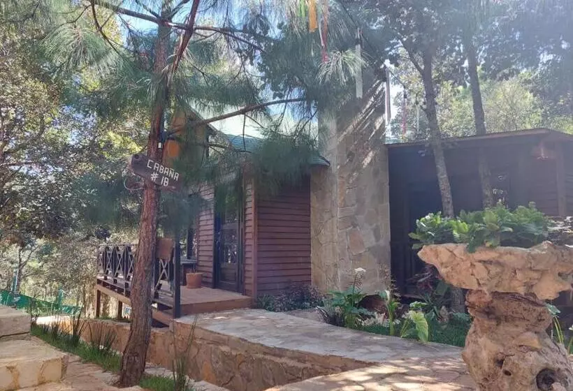 Hotelli La Cabaña Del Bosque