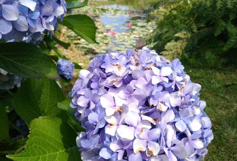 צימר Chambres D Hôtes Etang De L Aiguille