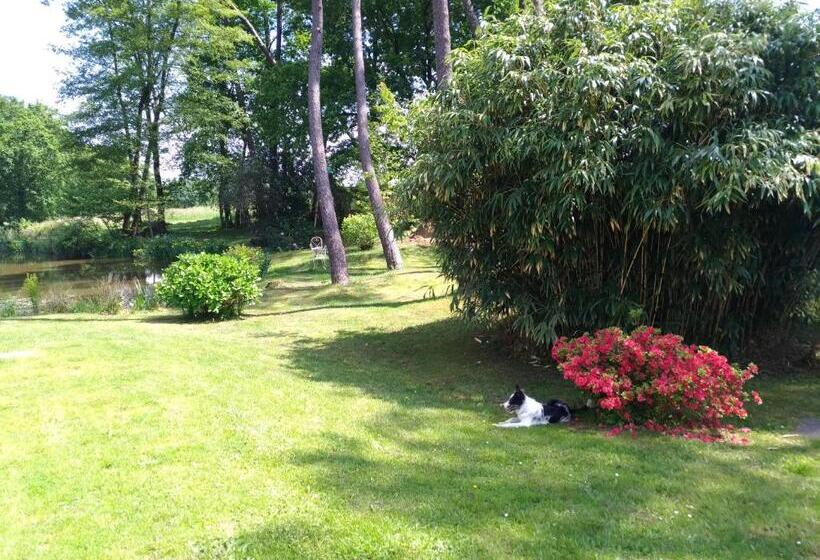 צימר Chambres D Hôtes Etang De L Aiguille