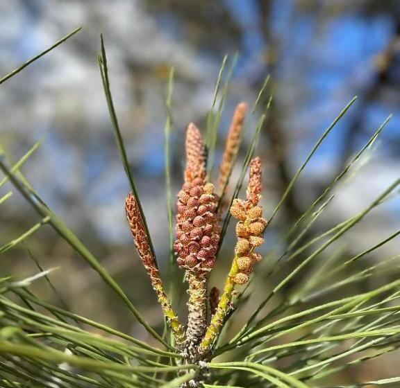 צימר Chambres D Hôtes Etang De L Aiguille
