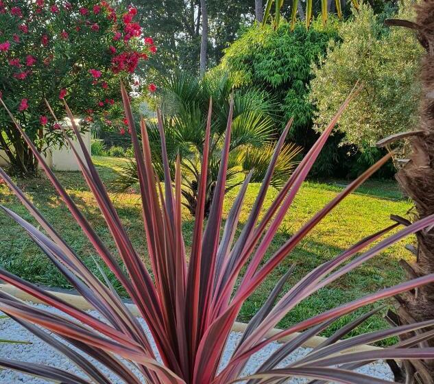 צימר Chambres D Hôtes Etang De L Aiguille