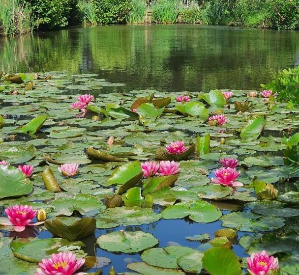 צימר Chambres D Hôtes Etang De L Aiguille