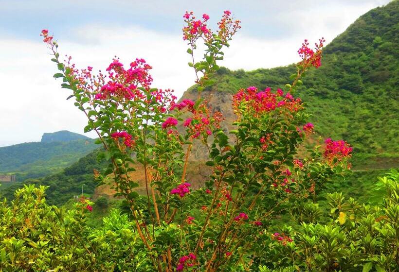 تختخواب و صبحانه Formosa Arcadian Villa