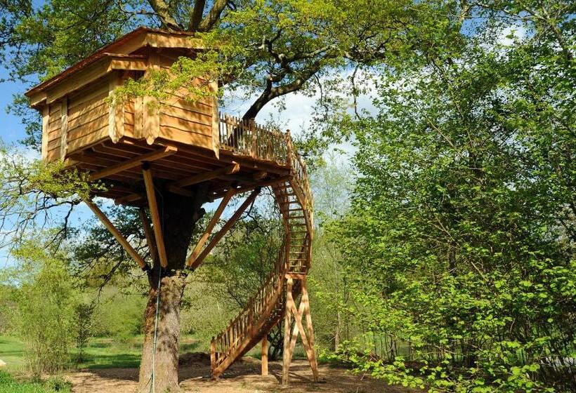 ベッドアンドブレックファースト La Cabane Du Vieux Chêne