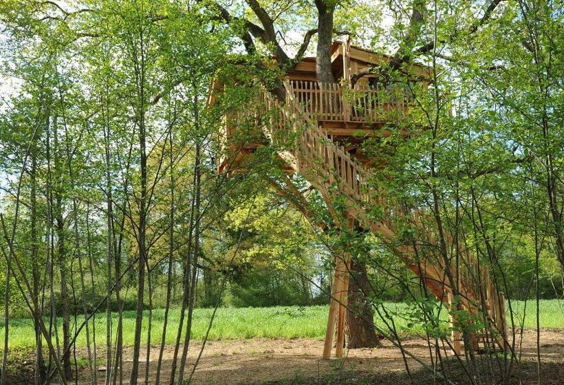 ベッドアンドブレックファースト La Cabane Du Vieux Chêne