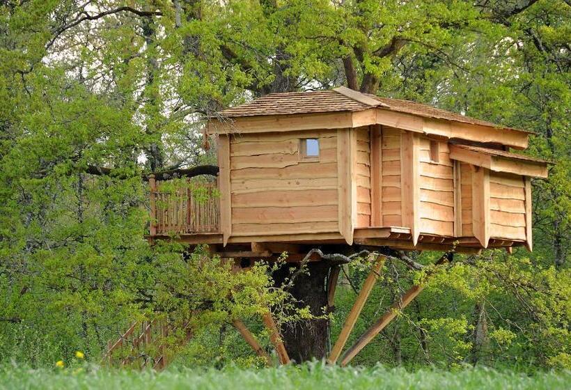 ベッドアンドブレックファースト La Cabane Du Vieux Chêne