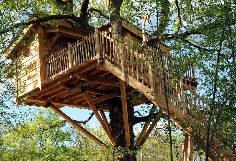 ベッドアンドブレックファースト La Cabane Du Vieux Chêne