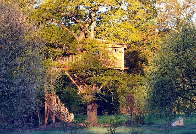 ベッドアンドブレックファースト La Cabane Du Vieux Chêne