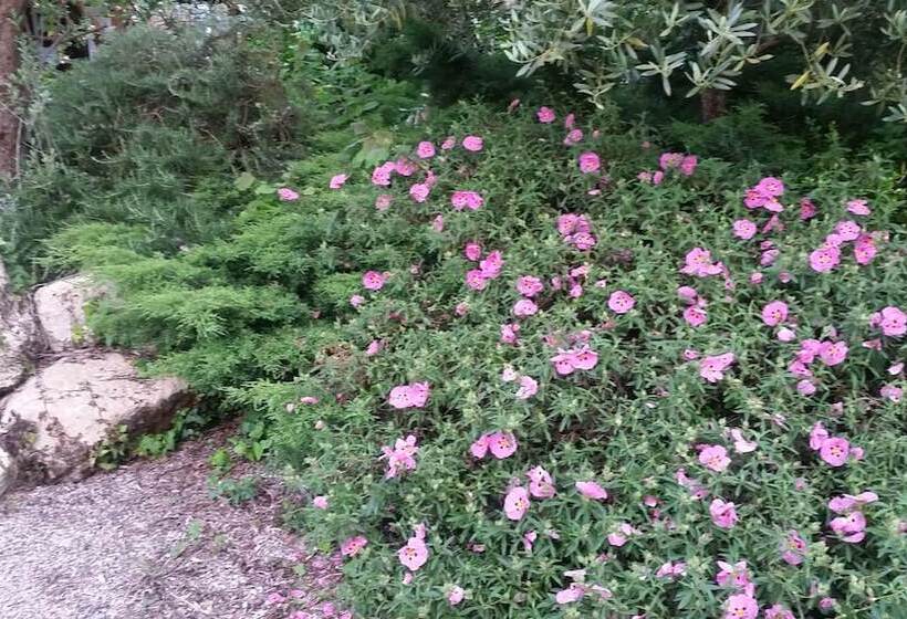 Bed and Breakfast Le Clos D'any