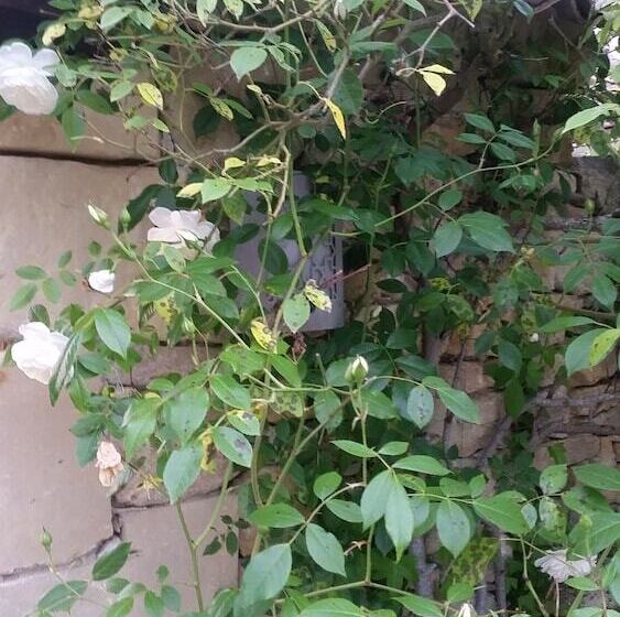 Bed and Breakfast Le Clos D'any