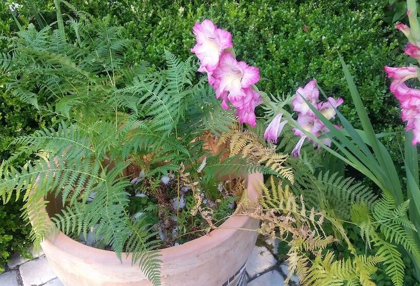 Bed and Breakfast Le Clos D'any