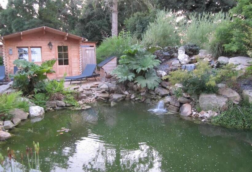 Bed and Breakfast Manoir Desnachez