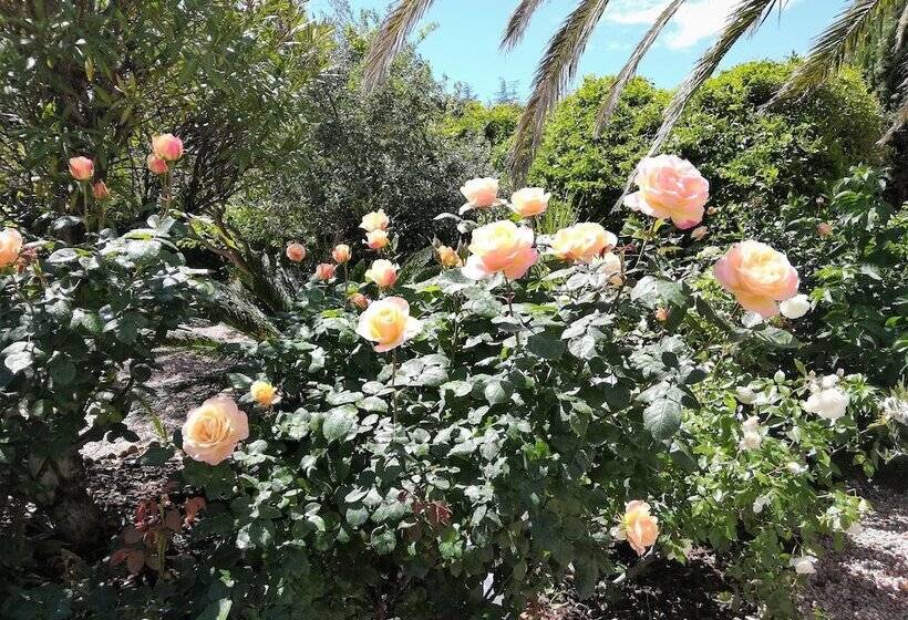 住宿加早餐  Villa Angel  Spa