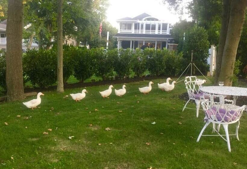 住宿加早餐 Walden On The Pond