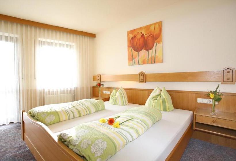 酒店 Gasthof Schneider