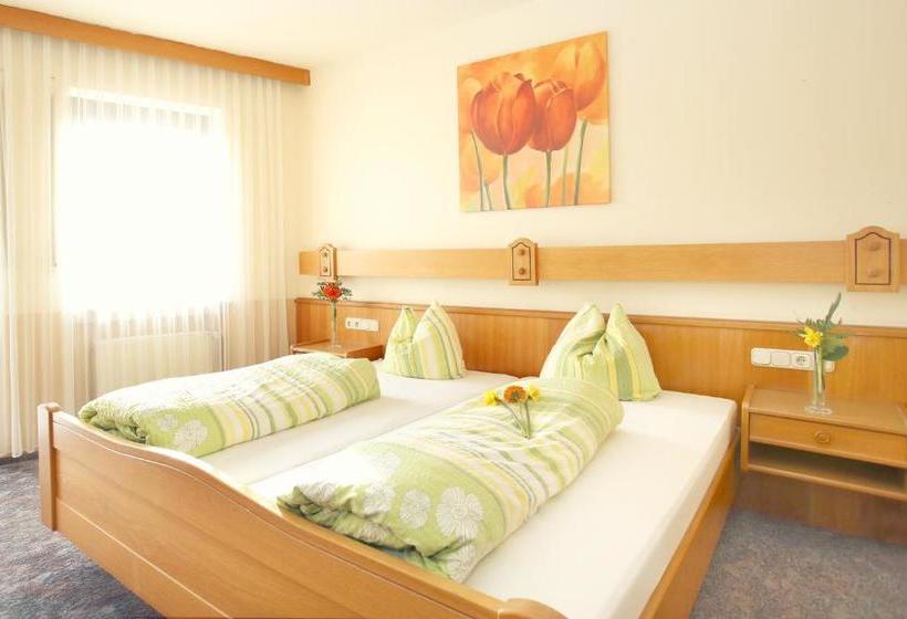 酒店 Gasthof Schneider