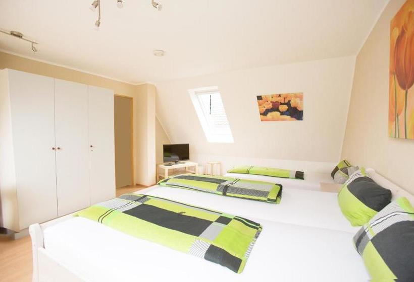 酒店 Gasthof Schneider