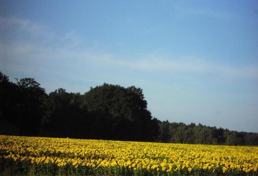 Land Gut Hotel Dierks