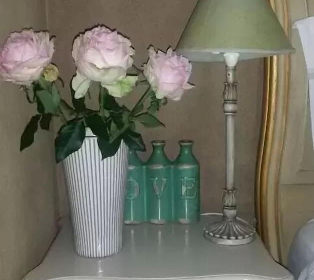 بنسيون Town And Country Mpumalanga