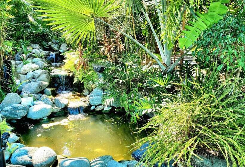 호스텔 Hidden Palms Inn And Resort