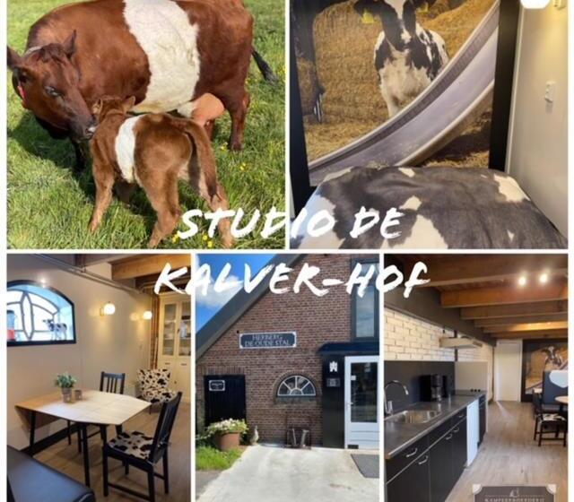 Bed and Breakfast Herberg Boerderij De Straat Hof