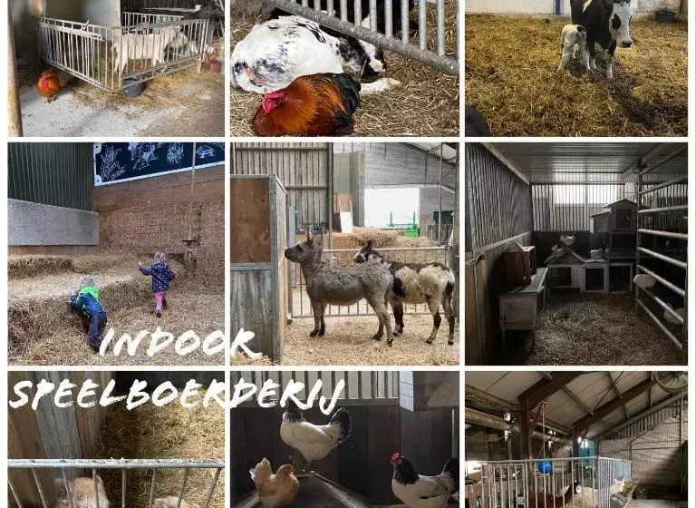 ベッドアンドブレックファースト Herberg Boerderij De Straat Hof