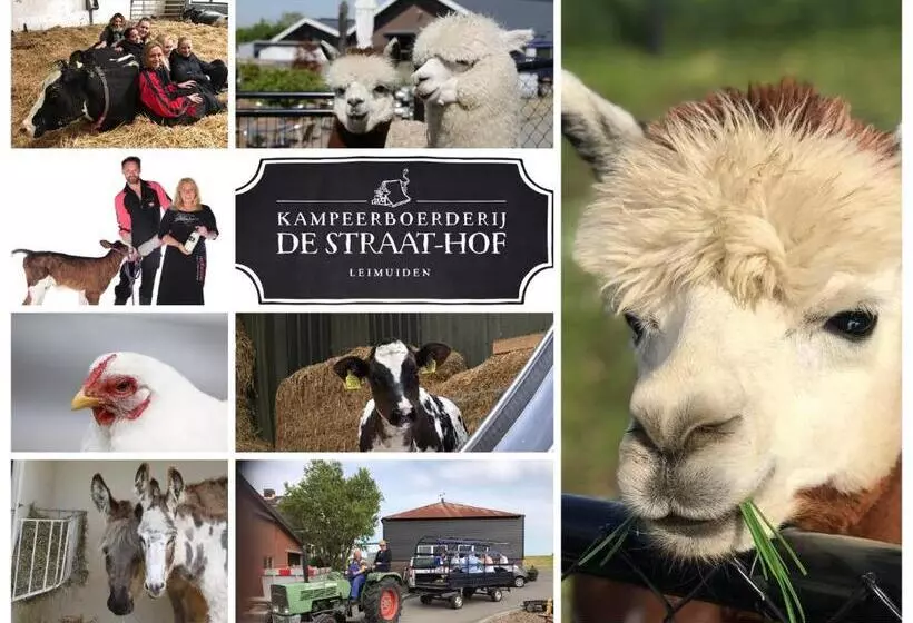 ベッドアンドブレックファースト Herberg Boerderij De Straat Hof