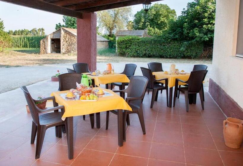 Bed And Breakfast Nonna Pia