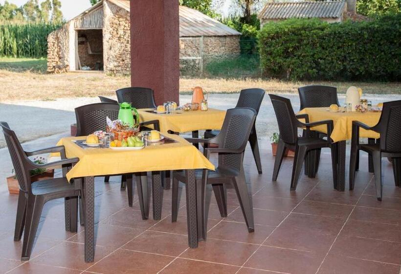 Bed And Breakfast Nonna Pia