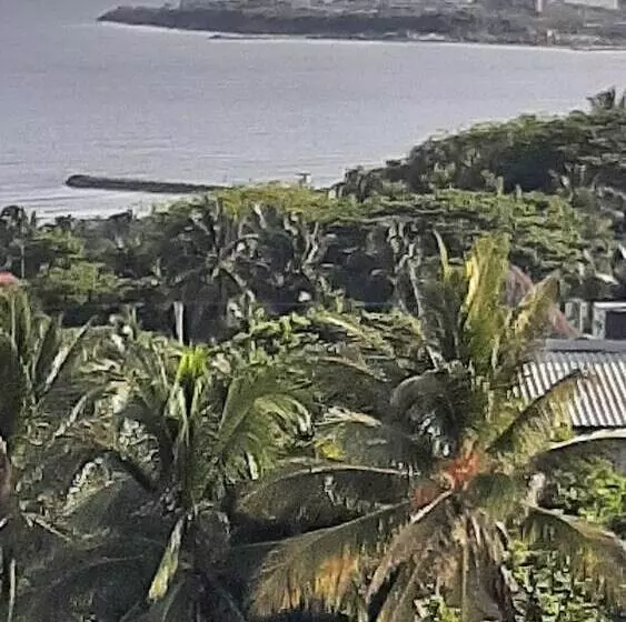 ベッドアンドブレックファースト Tropical House Club Bnb & Events
