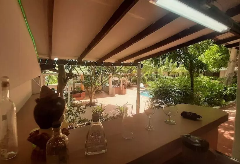 ベッドアンドブレックファースト Tropical House Club Bnb & Events