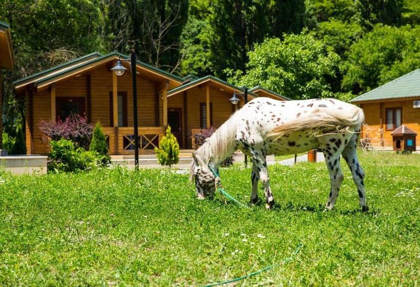 هتل Cennet Bagi Guba