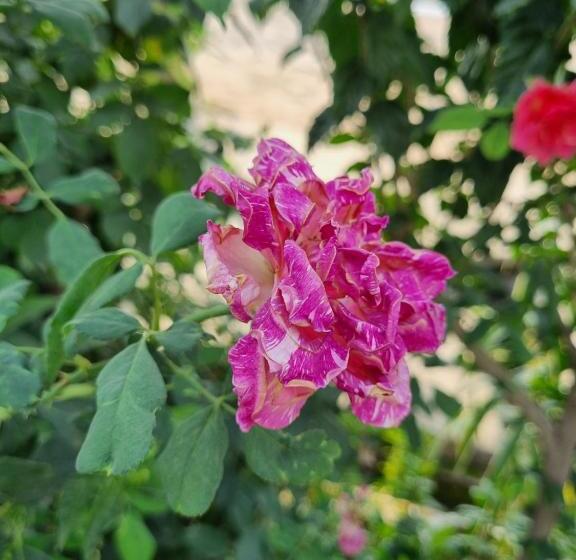 ホテル New Gurudeo Basera And Family Restaurant