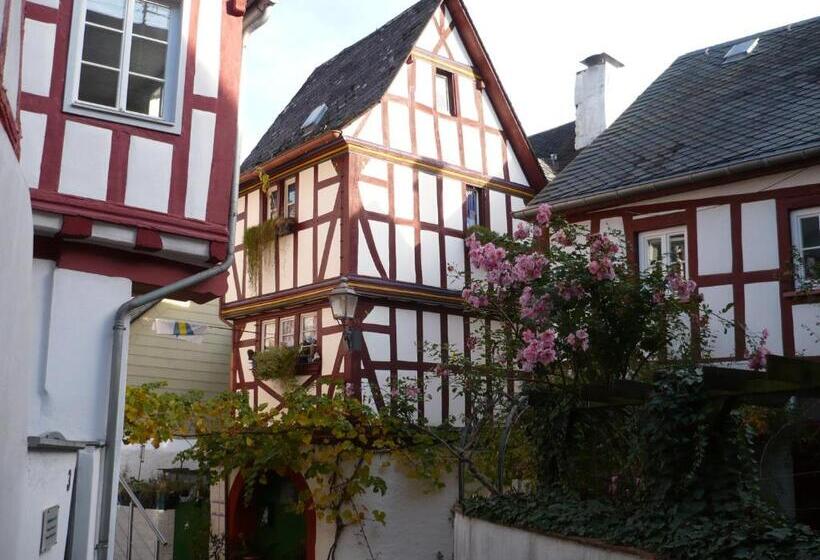 פנסיון B&b Briedel