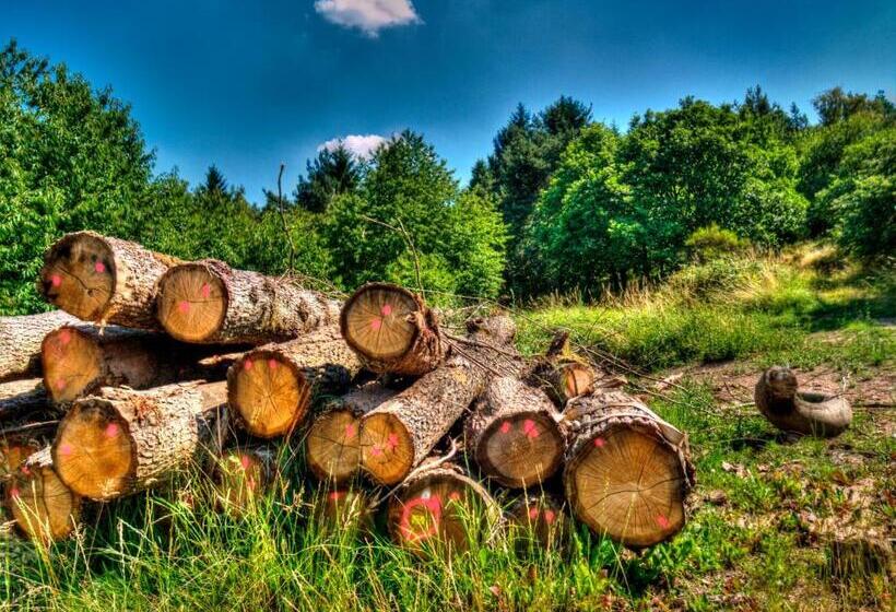 פנסיון B&b Briedel