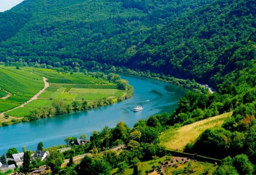 פנסיון B&b Briedel