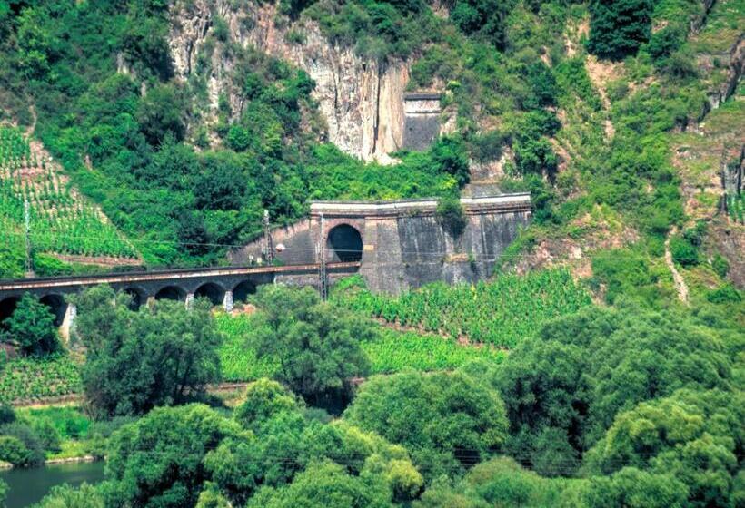 פנסיון B&b Briedel