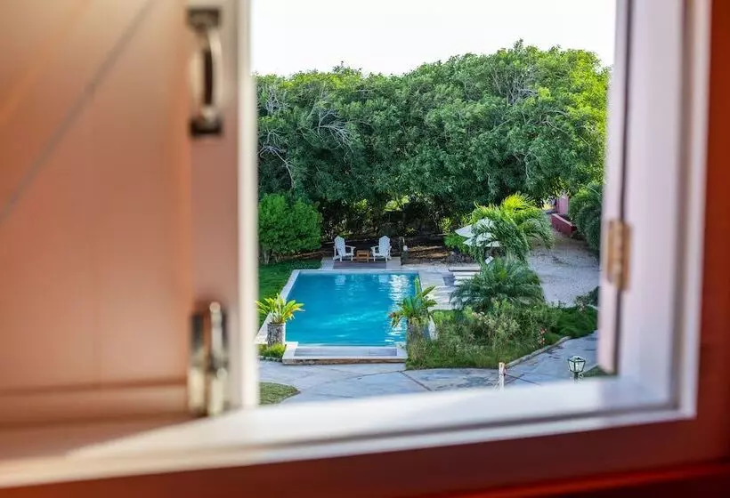 تختخواب و صبحانه Plantation Jan Thiel Lodge