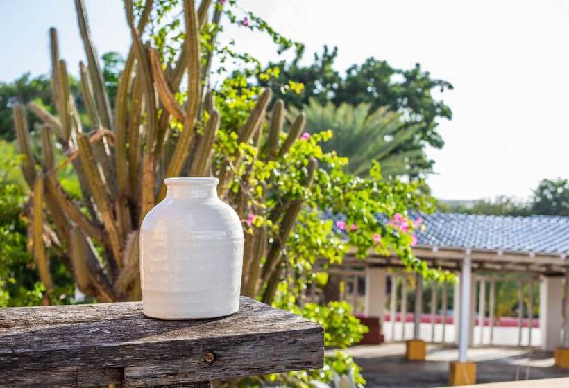 تختخواب و صبحانه Plantation Jan Thiel Lodge