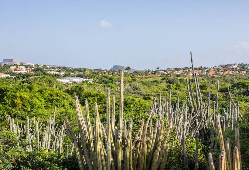 تختخواب و صبحانه Plantation Jan Thiel Lodge