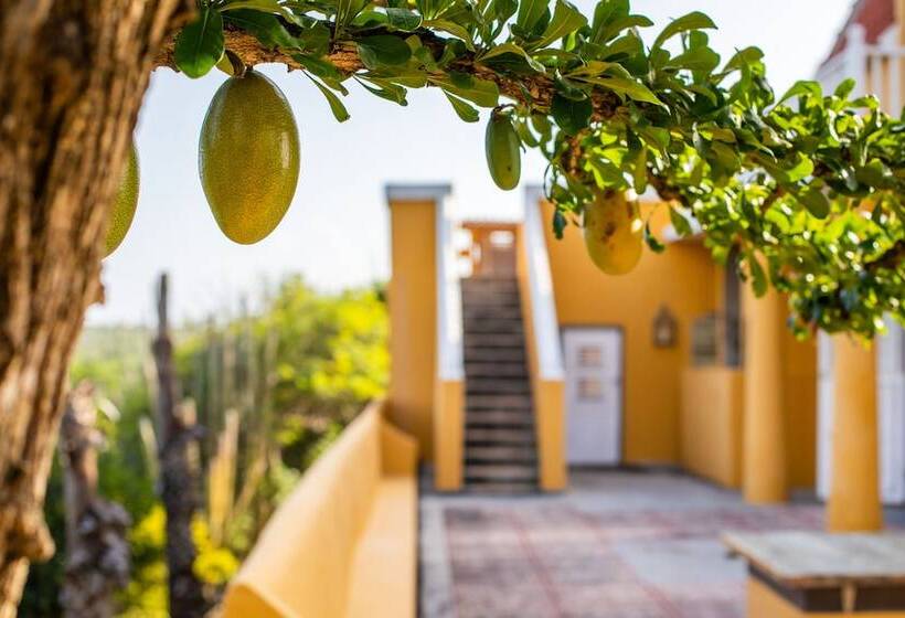 تختخواب و صبحانه Plantation Jan Thiel Lodge