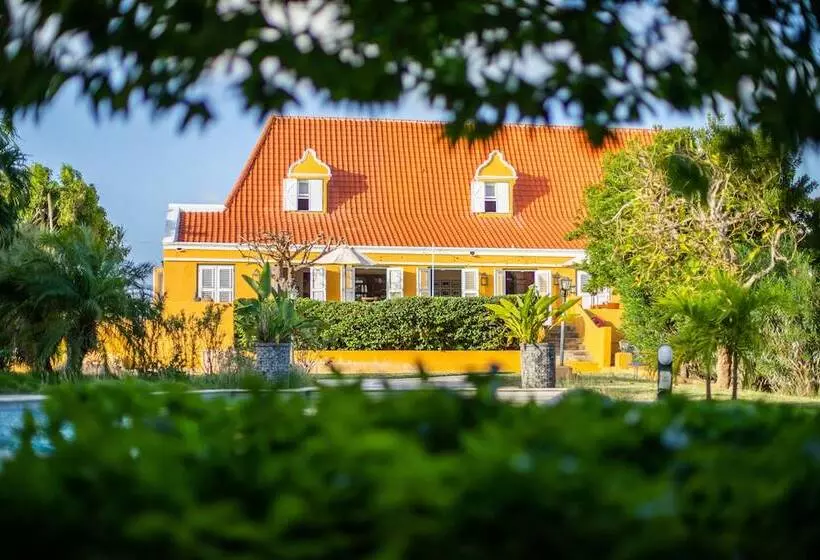 تختخواب و صبحانه Plantation Jan Thiel Lodge