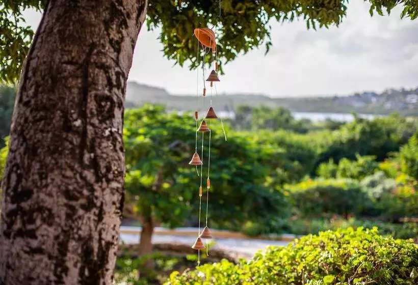 تختخواب و صبحانه Plantation Jan Thiel Lodge