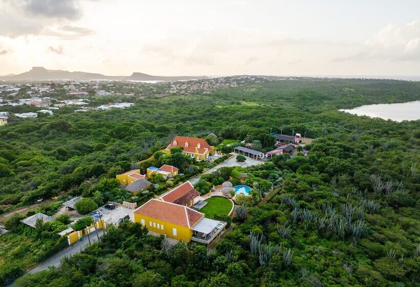 تختخواب و صبحانه Plantation Jan Thiel Lodge