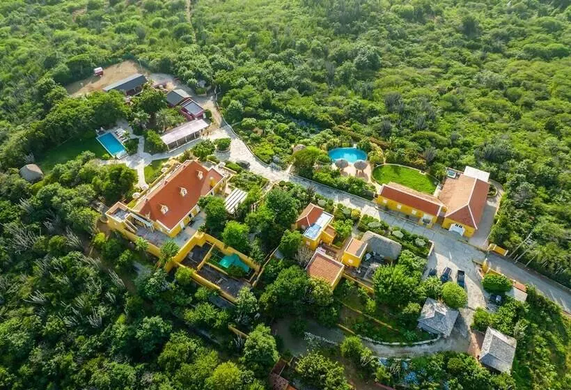 تختخواب و صبحانه Plantation Jan Thiel Lodge