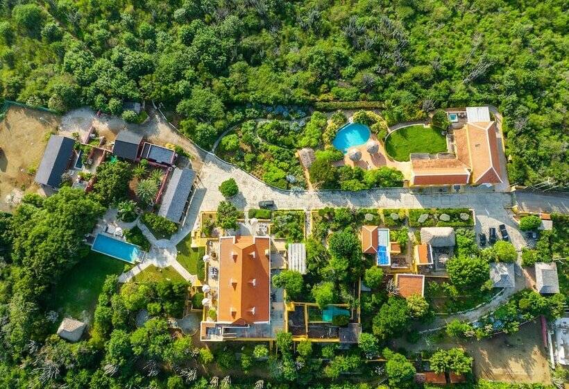 تختخواب و صبحانه Plantation Jan Thiel Lodge