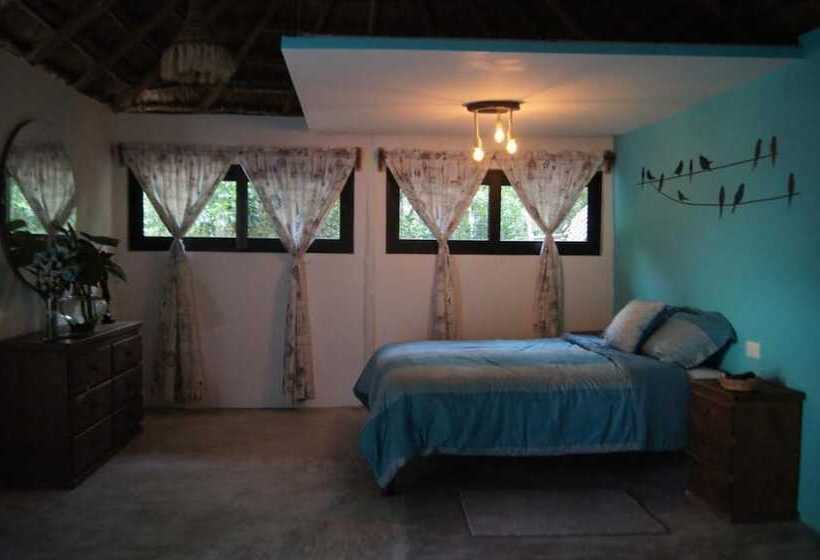 مبيت وإفطار Cabañas La Alborada