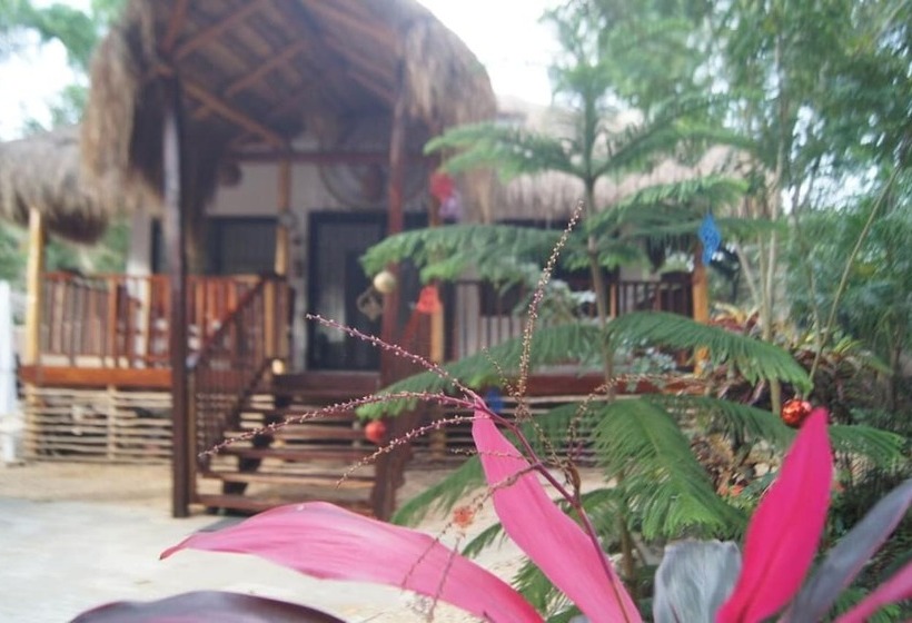 مبيت وإفطار Cabañas La Alborada