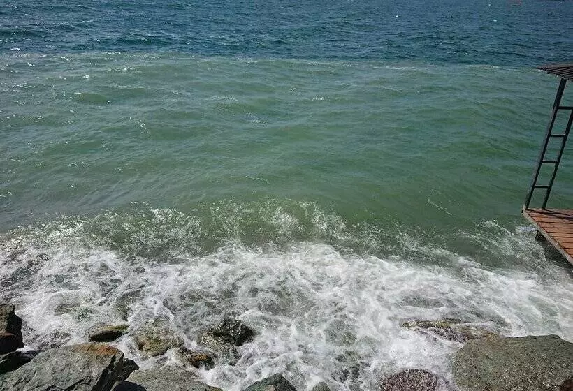 Hotelli Altitude 1900 Dive Resorts