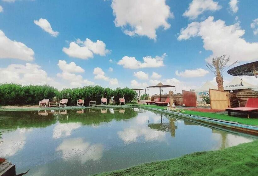 هتل Stars Camp Oasis
